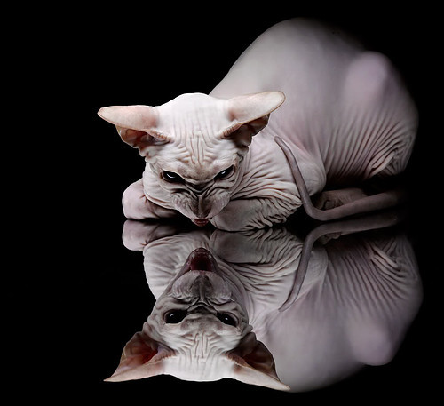 九游手游官网-中国足球在东亚杯中夺冠 热血战斗令人感动，东亚杯中国战绩